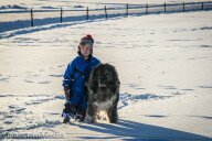 Kuusivuotias Timo on Pontuksen kaveri.